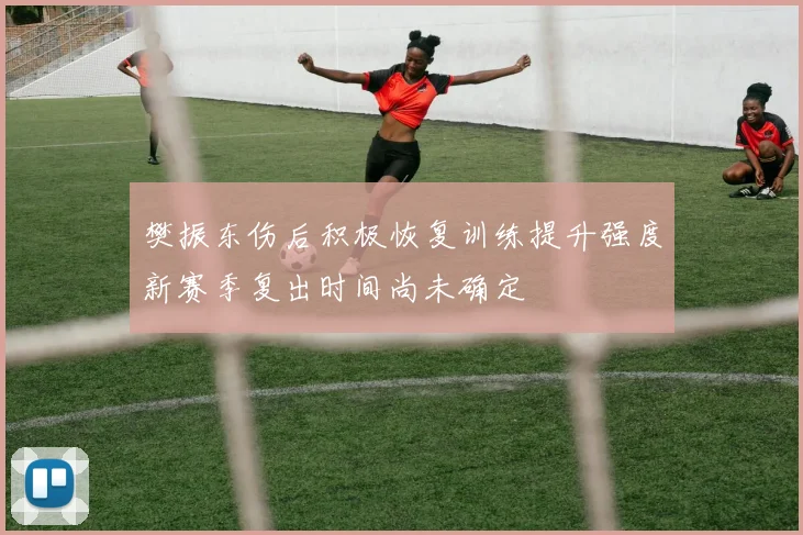 樊振东伤后积极恢复训练提升强度新赛季复出时间尚未确定