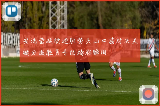 安洗莹延续连胜势头山口茜对决关键分成胜负手的精彩瞬间